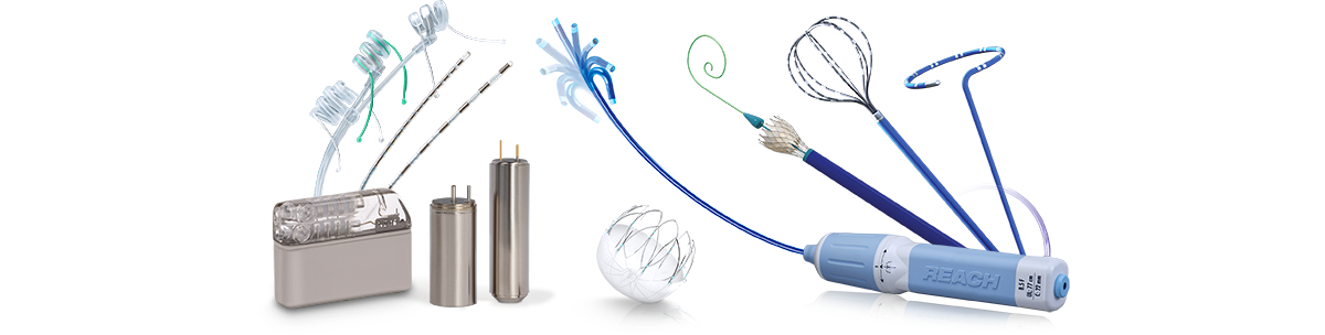 Integer Product Categories